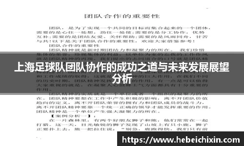 上海足球队团队协作的成功之道与未来发展展望分析