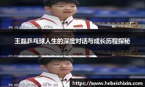 王磊乒乓球人生的深度对话与成长历程探秘